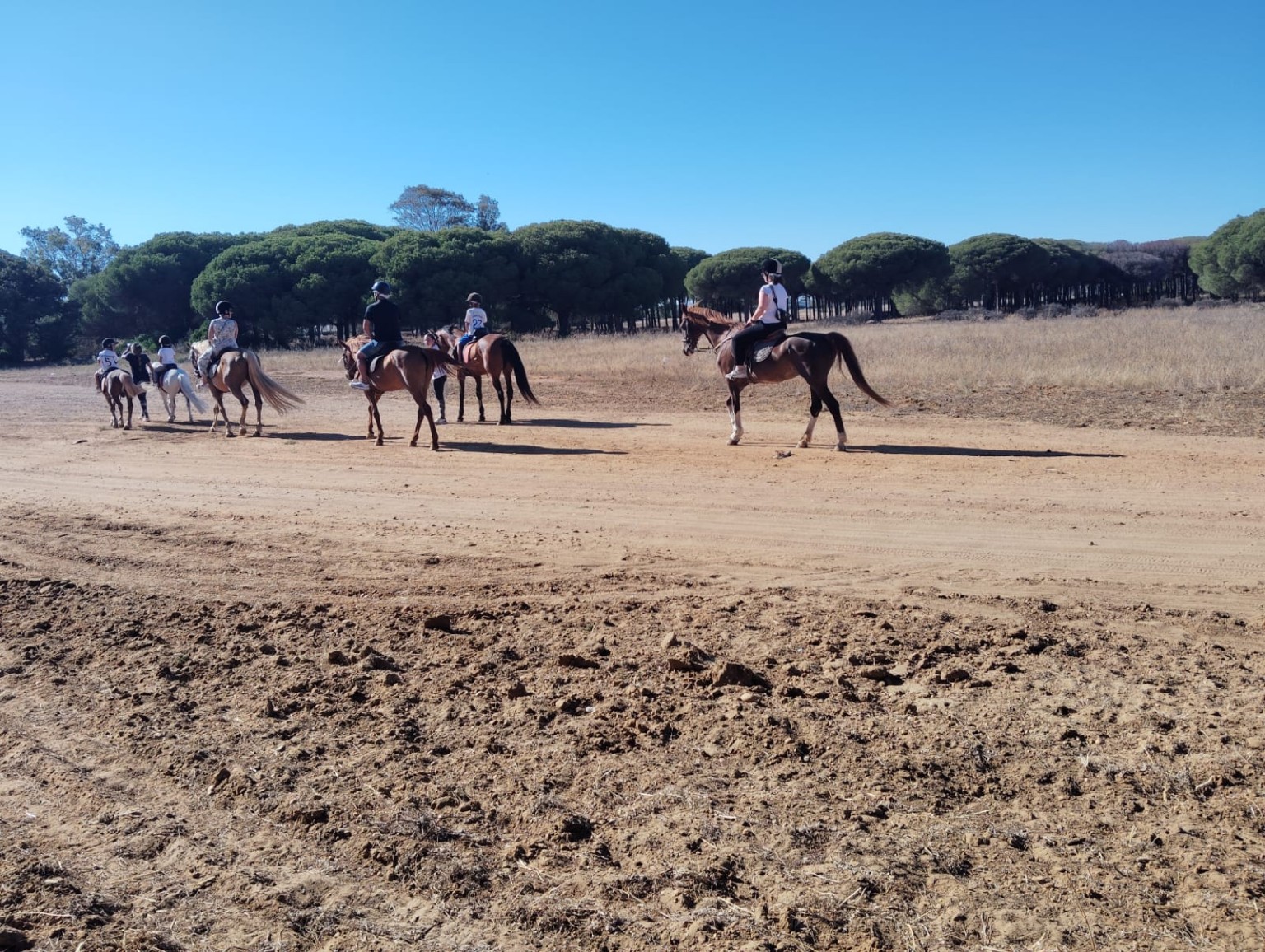 Actividad a caballo